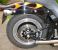 photo #6 - Harley-Davidson FXST SOFTAIL 100 aniversary model custom paint motorbike