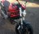 Picture 10 - Ducati Monster M 696 + Red 2008 ( 58 ) Model includes extras motorbike