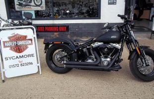 Harley-Davidson FLSTSB Crossbones motorbike
