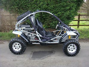 rl500 buggy
