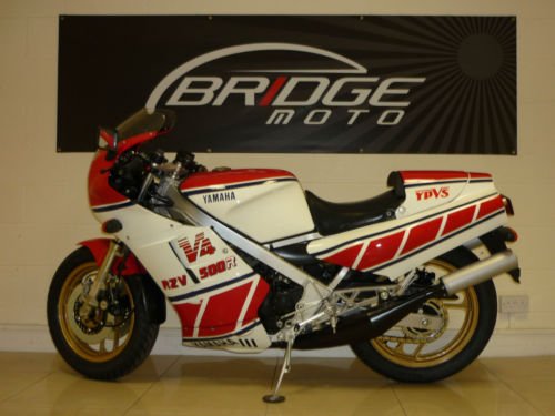 Sportbike Rider Picture Website