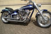 Harley Davidson SOFTAIL BATTISTINIS CUSTOM ARLEN NESS AWESOME CHOPPER BOBBER for sale