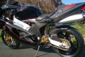 1999 Bimota SB8RS ULTRA-RARE CARBON EDITION Brand NEW UN-RIDDEN LIKE Ducati 999R for sale