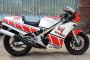 YAMAHA RZV500R MOTORCYCLE. Better version of the RD500