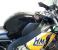 photo #4 - 2009 09 Honda CBR 1000RR HM PLANT RACE REPLICA 3500 Miles REGAL SUPERBIKES motorbike