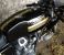 photo #6 - BEVEL 900SS Ducati motorbike