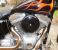 photo #3 - Harley-Davidson FXST SOFTAIL 100 aniversary model custom paint motorbike