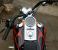 photo #9 - Harley-Davidson FXST SOFTAIL 100 aniversary model custom paint motorbike